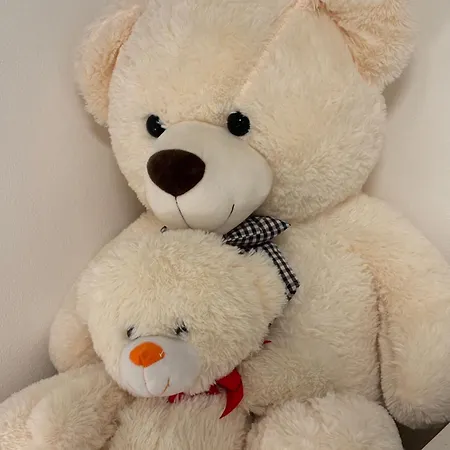 Apartamento L' Asinello House Wifi Parking